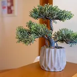 Sea Flat Ii Διαμέρισμα *